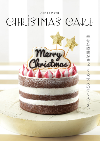 2018 CHRISTMASCAKE